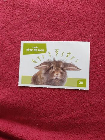 Autocollant nos amies les bêtes