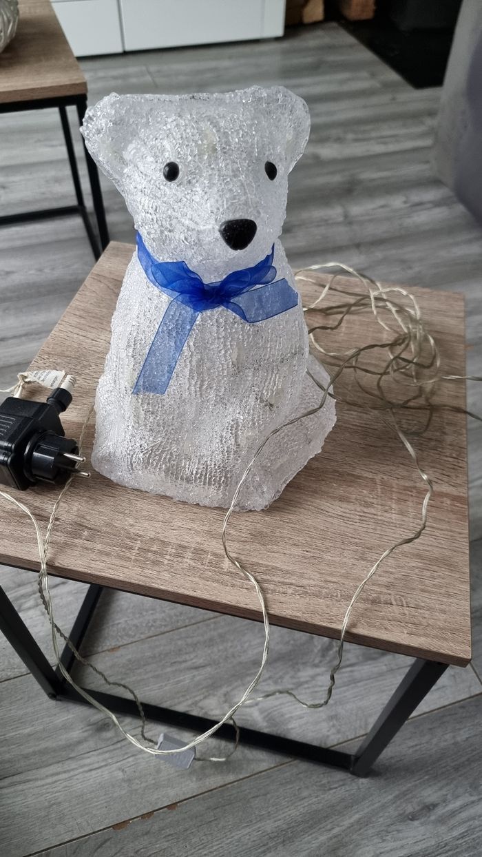 OURS LUMINEUX - photo numéro 3