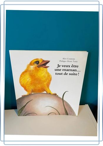 Livre école des loisirs je veux être maman tout de suite