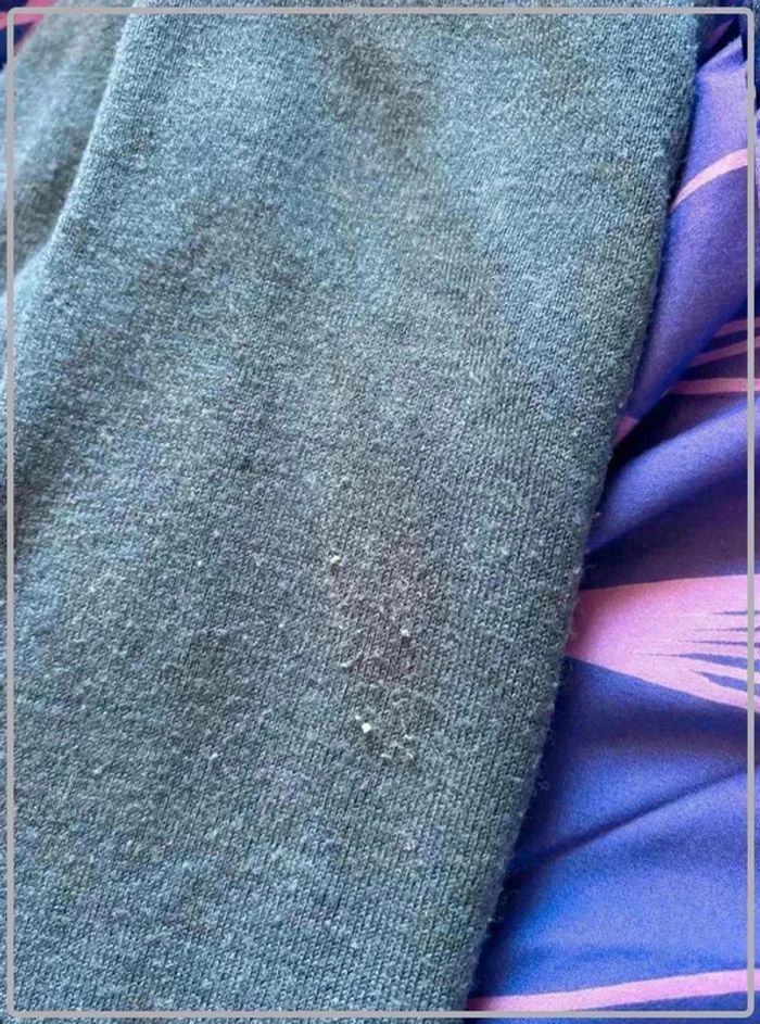 Pull fin taille 36 - photo numéro 4