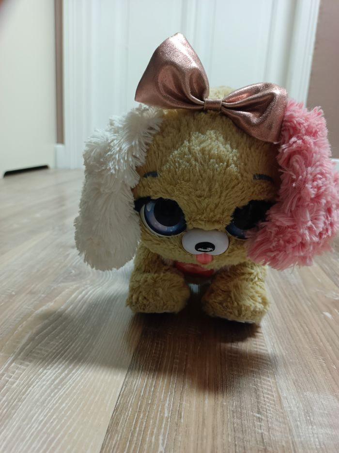 Fancy puppy - photo numéro 2