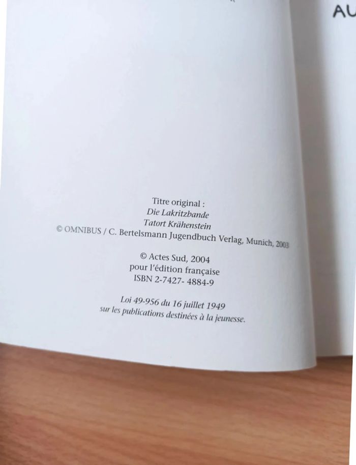 Le trésor de la pierre aux corbeaux - photo numéro 5