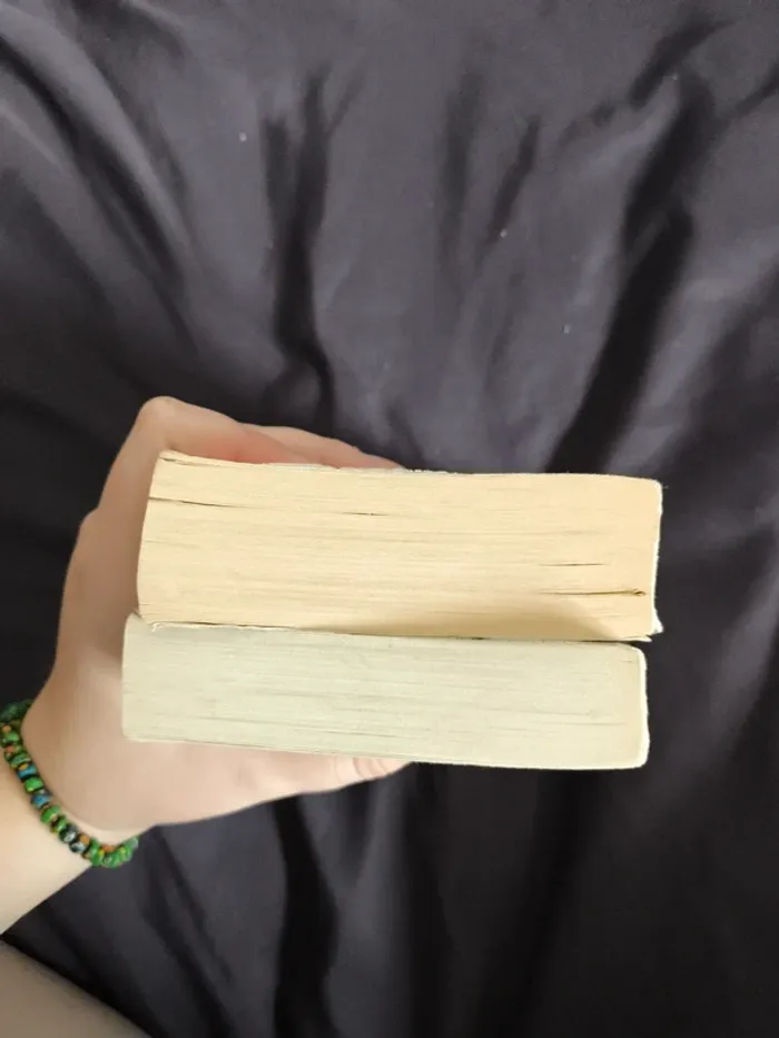 Lot de 2 livres tomes 2 et 3 - photo numéro 7
