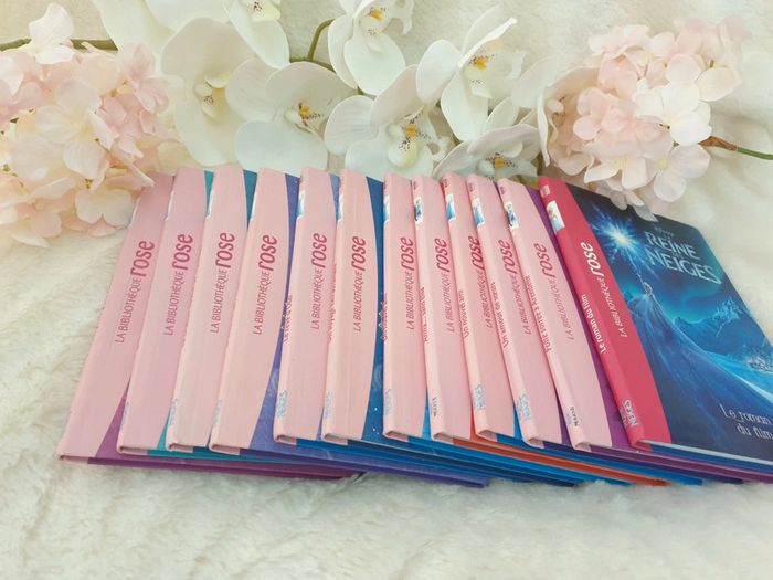 12 Livres Collection Reine des Neiges Disney - photo numéro 2