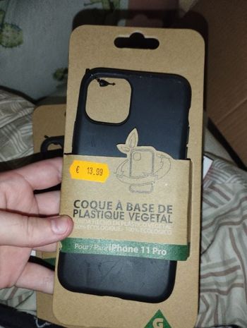 Coque