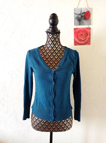 🌸Gilet, la Fée Maraboutée, taille S