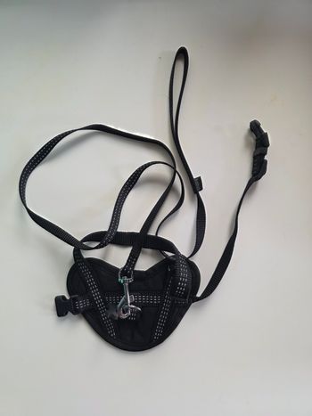 Harnais chien Bobby XS