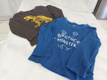 Deux tee shirt manches longues 3 ans