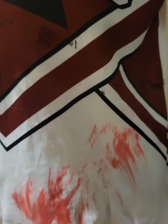 Deguisement halloween pompom gril 10-12 ans - photo numéro 5