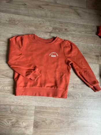 Pull bébé fille 18-24 mois