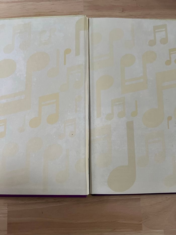 Livre Disney Audiocontes Magiques n°30 – Le Bossu de Notre-Dame – Bon État (Sans Figurines) - photo numéro 2