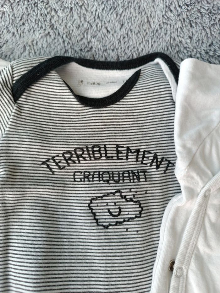 Lot 3 bodies manches longues - photo numéro 3