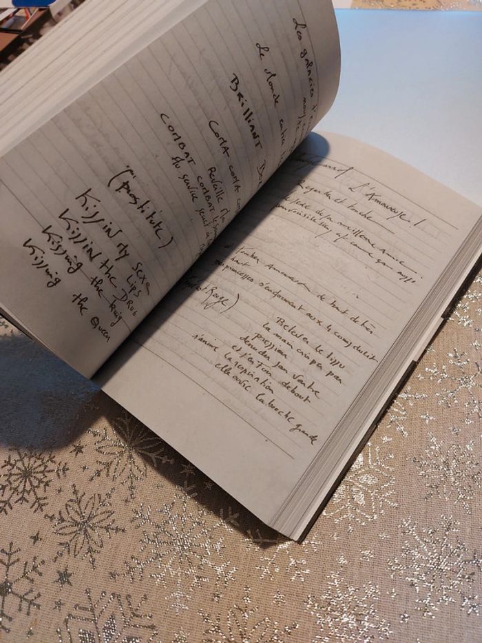 Livre Kissing my Songs - photo numéro 3