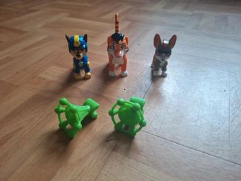Chase et tracker
