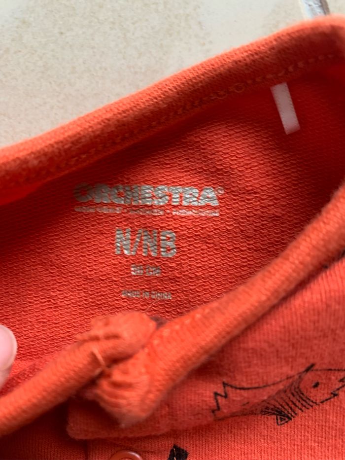 Barboteuse renard - photo numéro 3