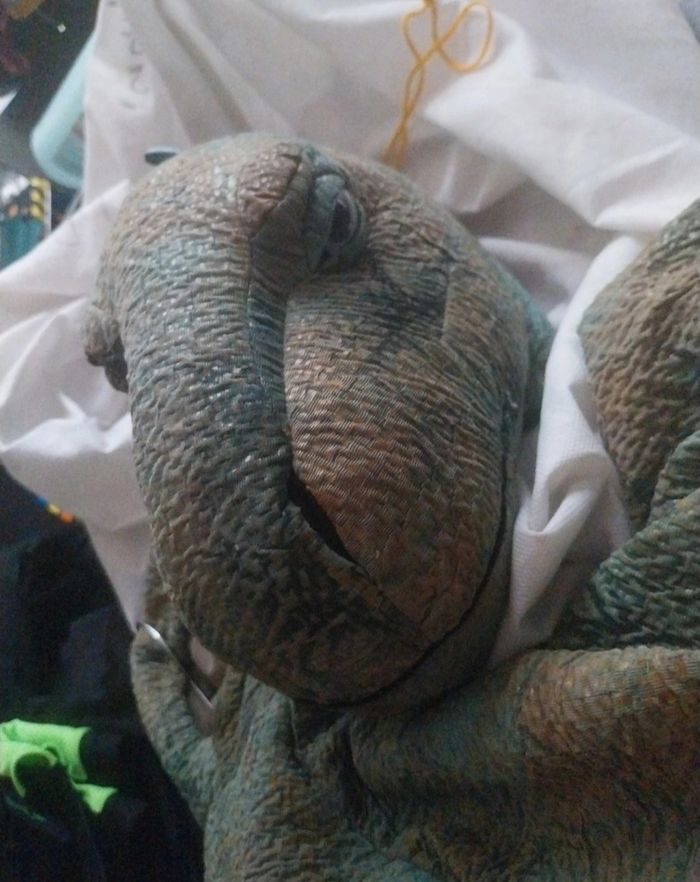 Déguisement  mixte Dinosaure  4/6 ans - photo numéro 6