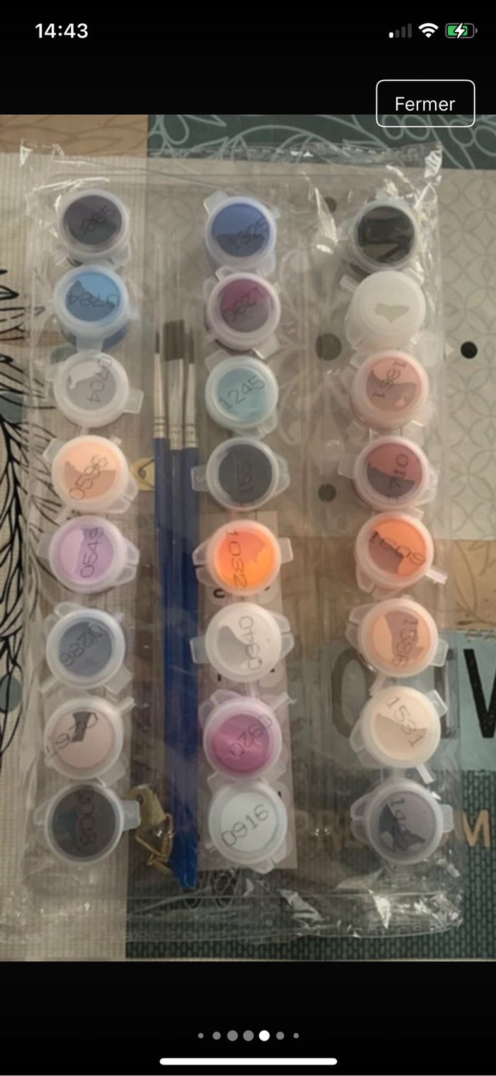 Kit complet de peinture par numéro - Neuf - photo numéro 5