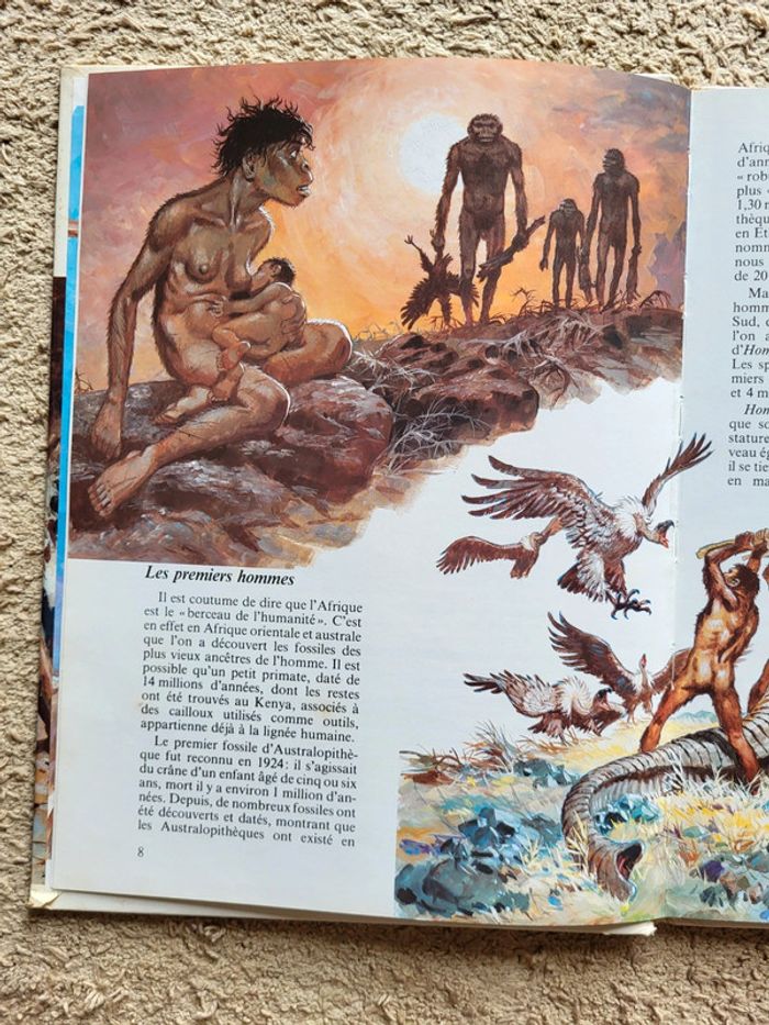 Les hommes de la Préhistoire – Jean-Laurent Monnier – Livre documentaire - photo numéro 5