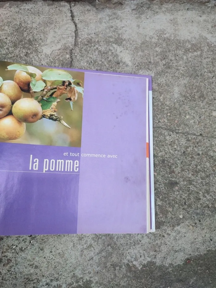Livre et tout commence avec la pomme - photo numéro 5