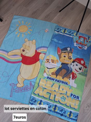 Lot de 2 serviettes