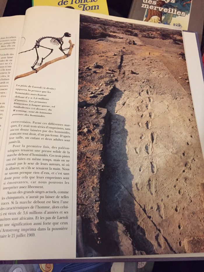 La terre avant l’homme - photo numéro 3