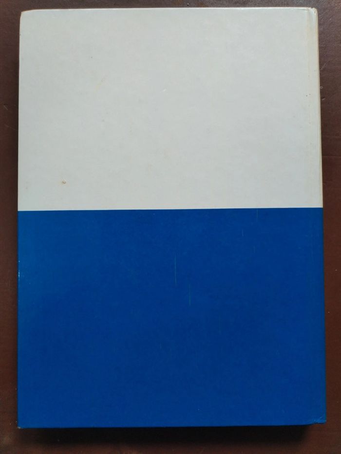 Le monde enchanté de walt Disney - photo numéro 2