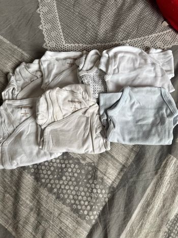 Lot bodies 