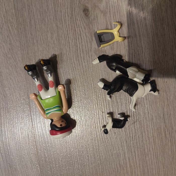 Playmobil 5213 famille des border collies manque le bracelet