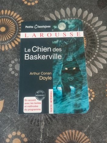 Le chien des Baskerville