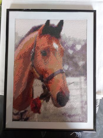 Cadre avec cheval en diamond painting 