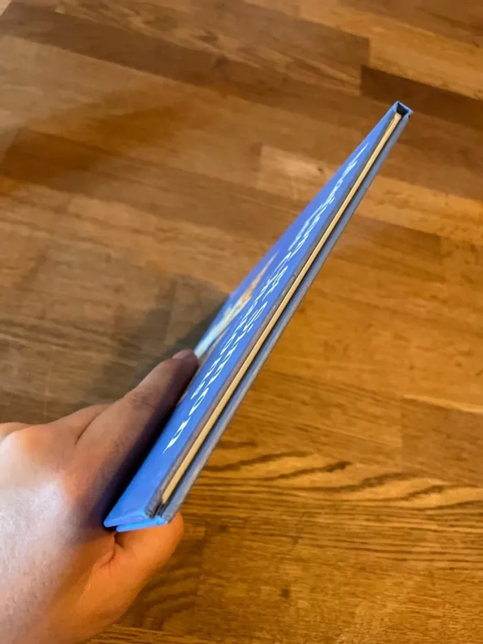 Livre Les Drôle de petites bête Numéro 45 Marion et Simon les chatons - photo numéro 5