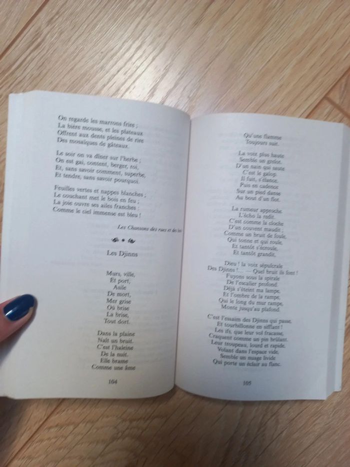 Des troubadours à Apollinaire - photo numéro 3