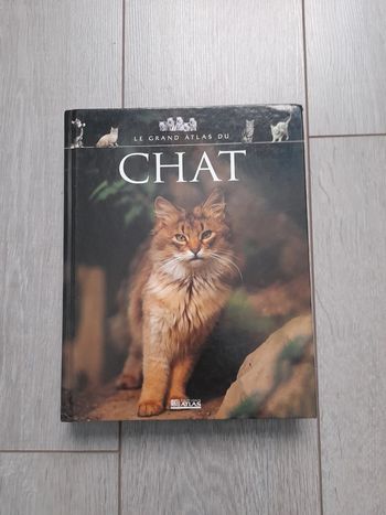 Livre sur les chats