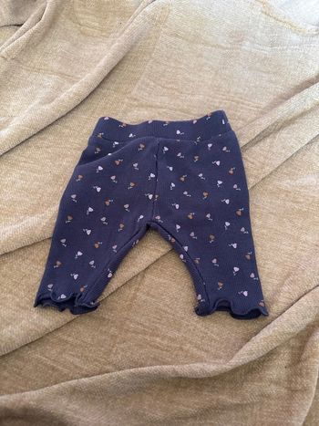 Legging