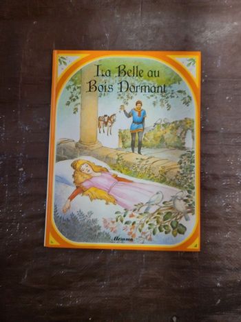 Livre la belle au bois dormant