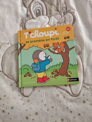 Livre T'choupi se promène en forêt