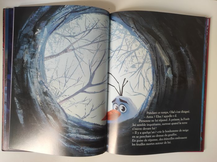 Livre la reine des neiges 2 - photo numéro 4