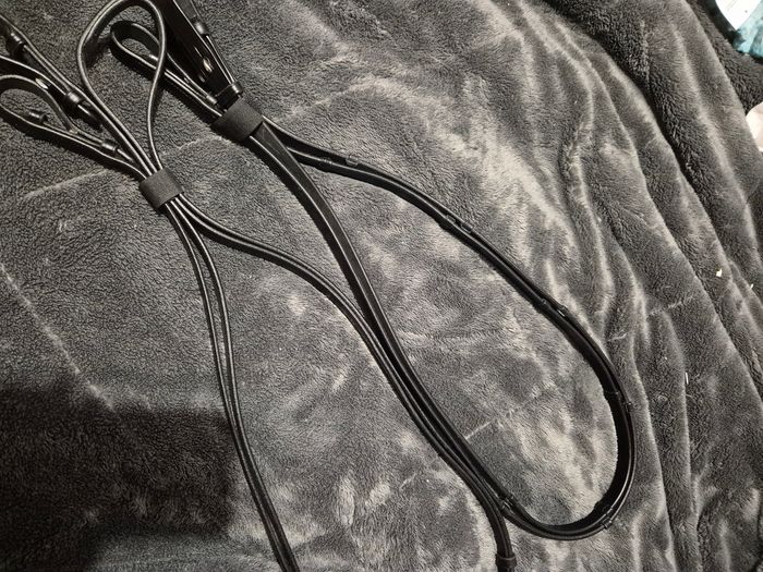 Double Bride dressage kavalkade - photo numéro 5