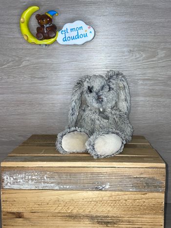 HD182 doudou lapin 🐰 histoire d’ours