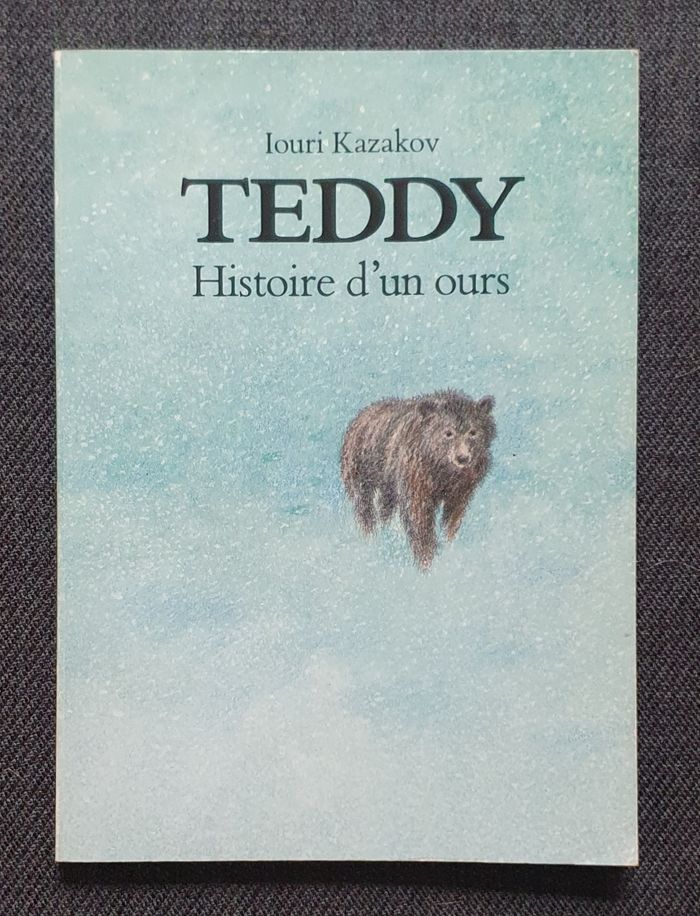 Roman Jeunesse, format moyen "Teddy, Histoire d'un Ours" (Dès 9 ans) / Éd. L'École des Loisirs