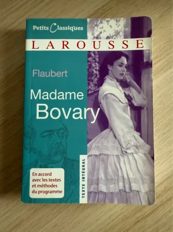 Flaubert Madame Bovary