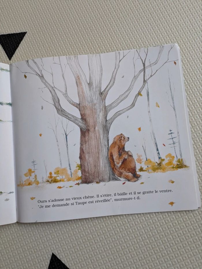 Lot de 3 livres sur les ours - photo numéro 5