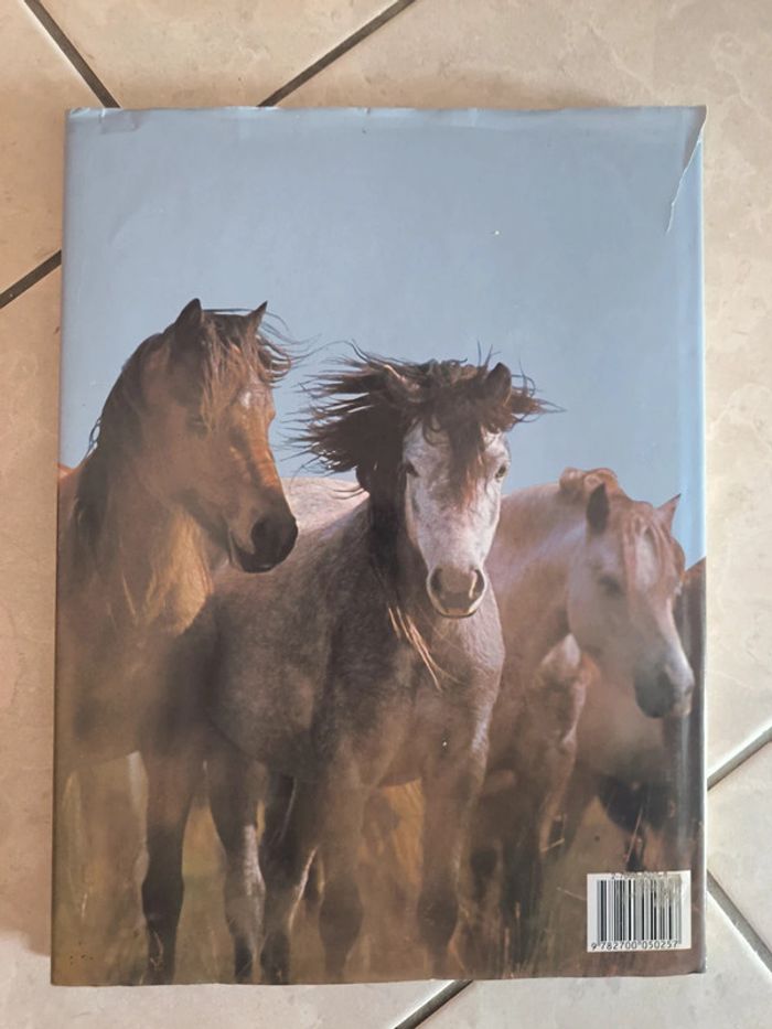 La passion des poneys - photo numéro 2