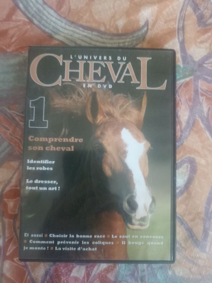 L univers du cheval - comprendre son cheval