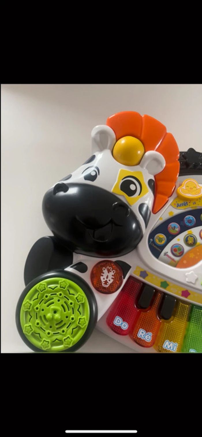 Piano zèbre - photo numéro 3