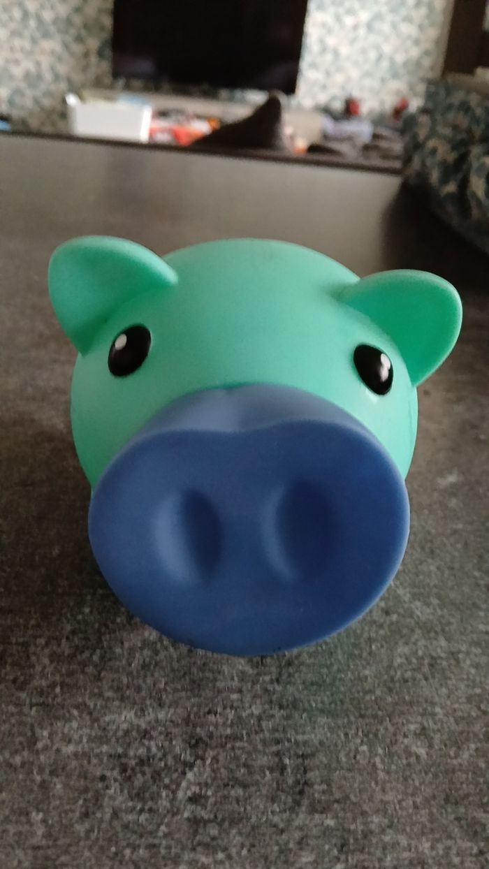 Tirelire - photo numéro 2