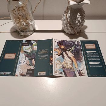 Manga solo leveling jaquette tome 1 édition limitée exclusive fnac
