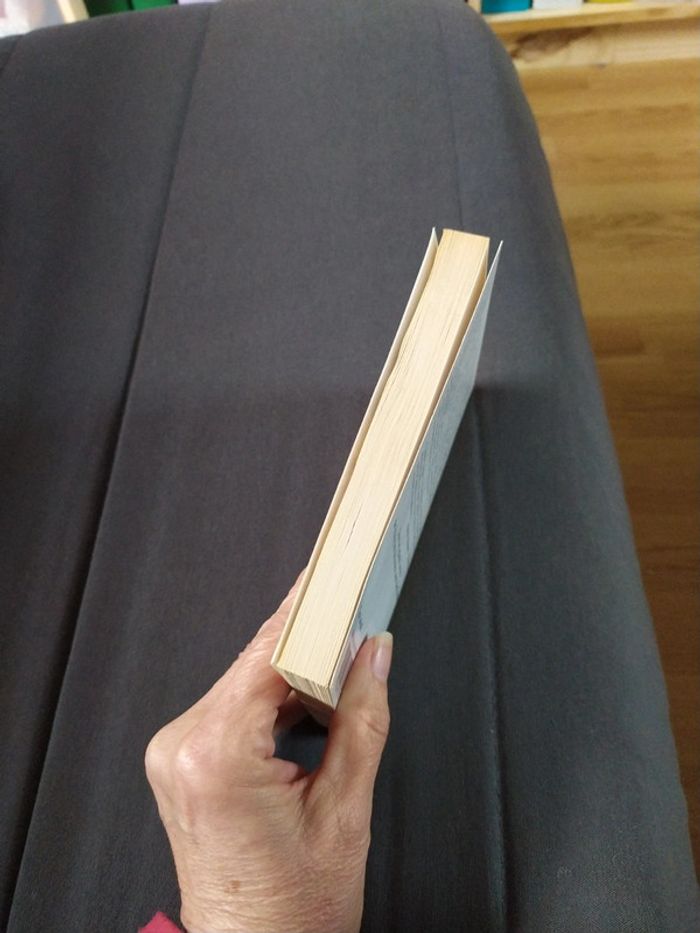 Les chemins de garance de Françoise Bourdon - photo numéro 5