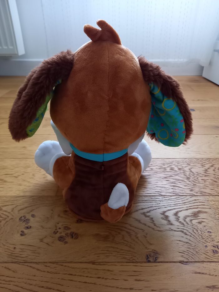 Toutou parle avec moi de Vtech - photo numéro 4