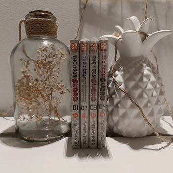 Manga The Moon Sword quasi intégral